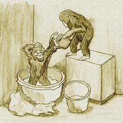 Illustraties