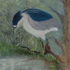 Vogelschilderijen door Rob Kamerling